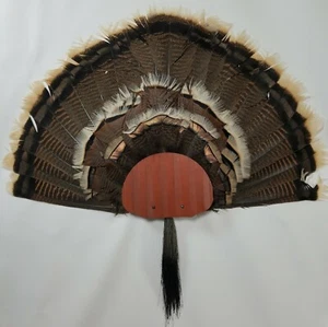Turkey Fan and Beard Mounting Kit (Rustic Red) - Picture 1 of 3