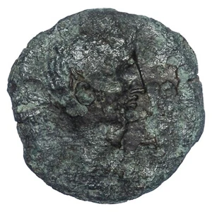 Monnaie romaine OCTAVE Dupondius de Narbonne 40-36 BC cuivre LT.4690 provinciale - Imagen 1 de 2