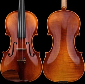 T30+ Pro Master Guarnieri 1734 copia violín 4/4 dos piezas madera europea sonido eléctrico - Imagen 1 de 17
