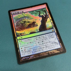 Loug’In Shelldock Isle Japanese Foil Magic The Gathering Card NM - Picture 1 of 3