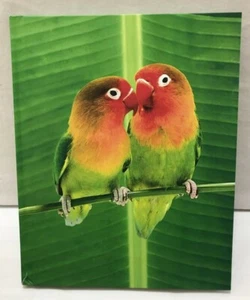 Tushita, Parrots photo, hardcover blank notebook journal with line guide - Bild 1 von 4