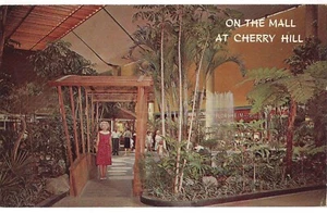 Exotic TROPICAL GARDENS COURT On The CHERRY HILL MALL NJ New Jersey Postcard - Picture 1 of 2
