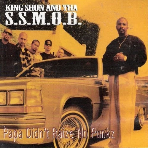 SS MOB - Papa Didn't Raize No Punks - CD - Import - **Excellent Condition** Foto 1 de 1