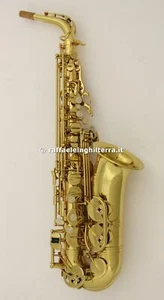 Buffet & Crampon sax alto 8101 100 Series Laccato - Imagen 1 de 12