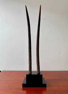 Cuernos Oryx africanos de imitación en un zócalo - Imagen 1 de 12