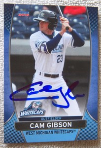 Cam Gibson Signed 2016 West Michigan Whitecaps Card Auto Kirk's Son