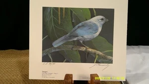Mario Fernandez Tanagers - 5 Druck Suite Vögel Artist's Proof auf Papier - Bild 1 von 5