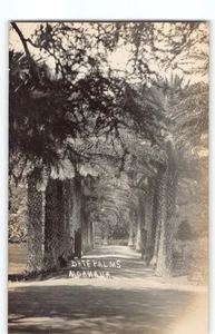 Famous Moanalua Gardens Park View Agriculture~Damon RPPC Hawaii Postcard -P1 - Picture 1 of 4