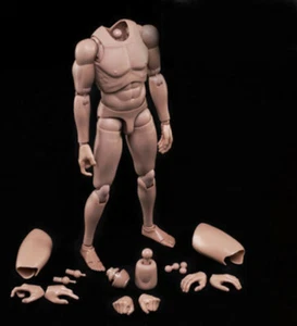 Modellino uomo pelle Europa 12 pollici MX02-A scala 1:6 corpo soldato flessibile giocattolo - Foto 1 di 9