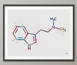 DMT Molekül Aquarelldruck chemisches Molekül Symbol Wandkunst Wissenschaft-1646 - Bild 1 von 4