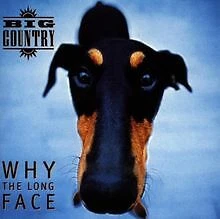 Why the Long Face von Big Country | CD | Zustand sehr gut - Bild 1 von 2