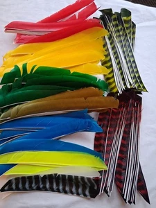 125 Right Wing Full Length Feathers  - Picture 1 of 5