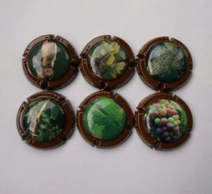6 capsules Champagne générique cycle végétale De la vigne news - Imagen 1 de 1