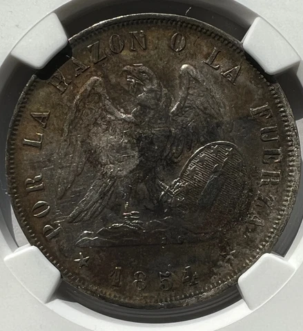 SS CENTRAL AMERICA 1854SO CHILE SILVER PESO SSCA TREASURE PASCUAL ESQUERRA HOARD Cover