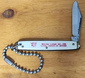 VINTAGE LOYAL ORDER OF MOOSE TASCHENMESSER MOLINE ILLINOIS LODGE NR. 235 2,75" - Bild 1 von 2