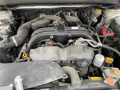 Used Rear Left Door Interior Trim Panel fits: 2016 Subaru Legacy  Grade A - Image 1 of 4