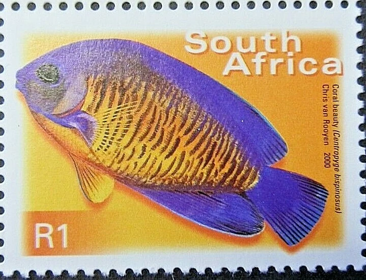 SOUTH AFRICA 2000 SG1215 1r. TWO-SPINED ANGEL ("CORAL BEAUTY")FISH -  MNH - Изображение 1 из 1