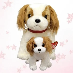 ⭐️ REGAL ⭐️ TY Beanie BABY & BUDDY Dogs Set - MWMT'S - Imagen 1 de 3