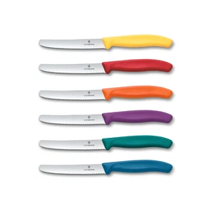 Victorinox Swiss Classic Kitchen Fixed Knife Set 6 Pieces Serrated Edge - Picture 1 of 2