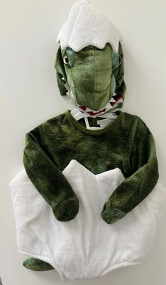 Disfraz de Halloween huevo de dinosaurio bebé Pottery Barn para niños dinosaurio verde 6-12 m Foto 1 de 2