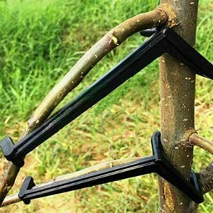 100X Baumstreuer Obstbaum Zweig Spreader Apfelbaum Glied Streuer Rahmen - Bild 1 von 7
