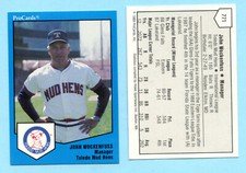 1989 Pro Card Minor League - John Wockenfuss - Toledo Mud Hens - Box 208