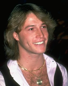 Andy Gibb 10" x 8" Photograph no 5 - Imagen 1 de 1