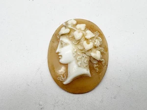ANTICO PANNELLO CONCHIGLIA CAMMEO MOLTO BEN INTAGLIATO DA SPILLA/CIONDOLO - Foto 1 di 4