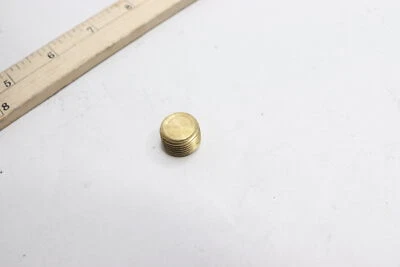 Countersunk Thread Plug Brass 1/2" MNPT  - Image 1 of 3