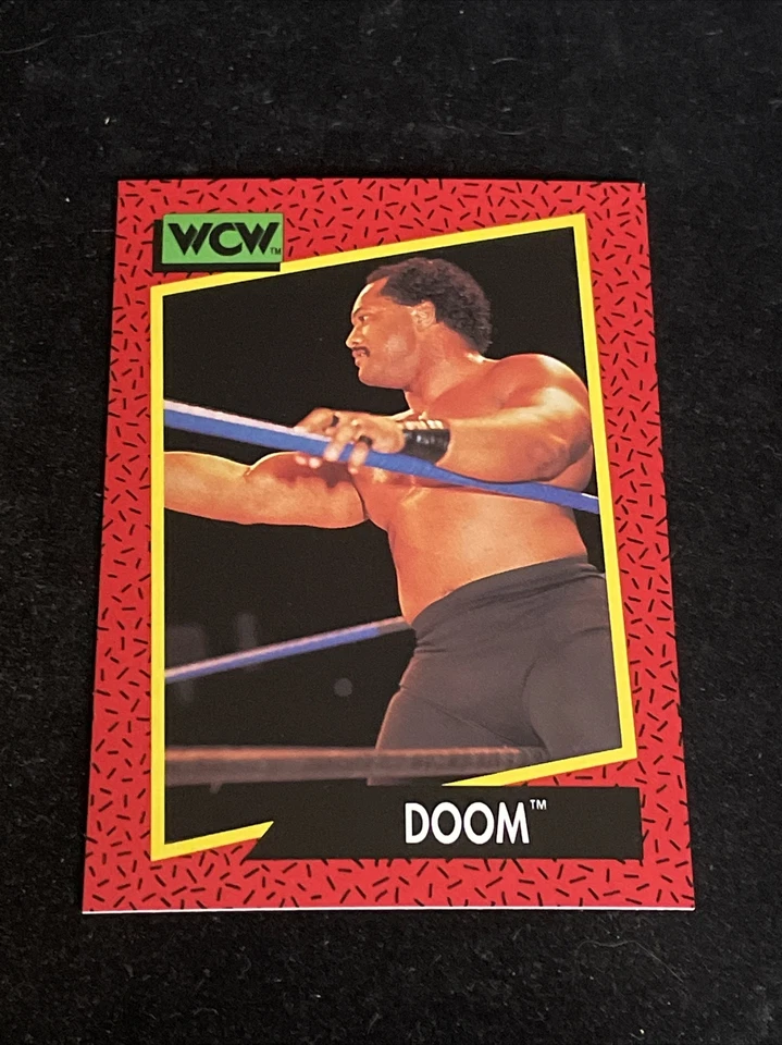 1991 Impel WCW Wrestling Trading Card #141  Doom - Image 1 of 1