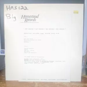 Big Dipper - Craps LP ~ Homestead Records NM Test Pressing ~ Alt. / Indie Rock - Picture 1 of 2