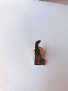 Delaware State Bug Ladybug Enamel Lapel Pin Souvenir Blue Red and Black. - Picture 1 of 1