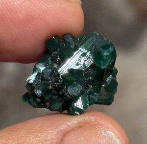 16,5ct 19,7x15,4x9mm Intensive Green Dioptase Rock Specimen Display Wire Wrapping - Bild 1 von 12