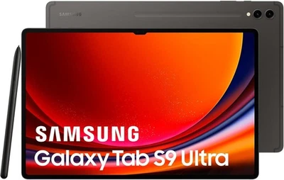 Samsung Galaxy Tab S9 Ultra 256GB 5G X916 - Imagen 1 de 4