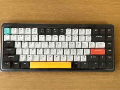 NuPhy Halo75 Mechanical Keyboard Baby Raccoon Linear Switch 75% Layout - Image 1 of 4