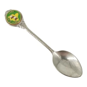 Hawaii The Big Island Souvenir Spoon US State Collectible Vintage Travel Memento - Picture 1 of 5
