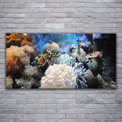 Wandbilder Glasbilder Druck auf Glas 120x60 Korallenriff Natur - Bild 1 von 4