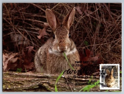 #5539 Winter Scenes Rabbit FDC Maxi Card w/Pictorial Cancel! - Image 1 of 2
