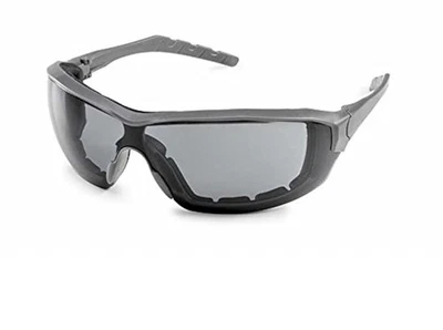 Vidrio de seguridad versión Silverton Temple 22GY78, marco gris - gris FX2 antiniebla... Foto 1 de 4