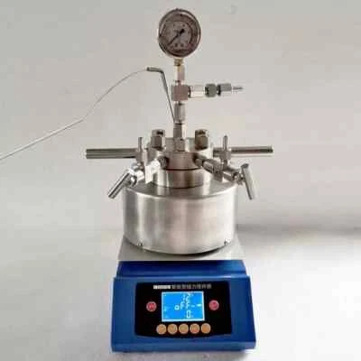 Mini reactor de alta presión de agitación magnética de 100 ml + revestimiento de PTFE - Imagen 1 de 4
