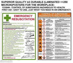 COSHH + FIRST AID 2 QUALITY A3 LAMINATED POSTERS LOWEST PRICE ON EBAY - Picture 1 of 1