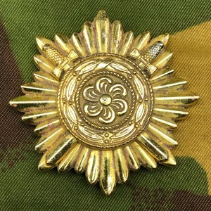 German Army Eastern People’s Award 1st Class Gold with swords - Picture 1 of 6