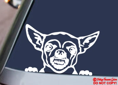 ANGRY CHIHUAHUA Vinilo Calcomanía Adhesiva Coche Ventana Parachoques Perro Recuperarse del Culo Foto 1 de 2