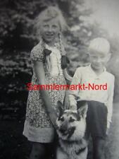 193) PORTRAIT Foto  JUNGMÄDEL, blonde lange ZÖPFE, PIMPF & deutscher SCHÄFERHUND
