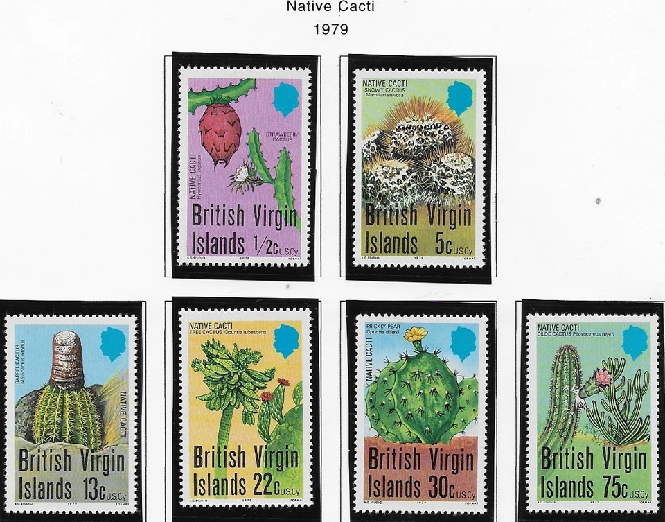 维尔京群岛,斯科特 350 - 355,1979 年,本土仙人掌,MOG,NH,F/VF — 第 1/1 张图片