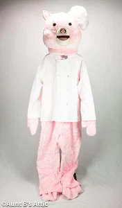 Disfraz de Cerdo Mascota 10 Piezas Rosa Imitación Piel Traje Cabeza Guantes Pies Escupidores Chef Abrigo Sombrero - Imagen 1 de 4