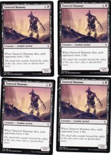 Tattered Mummy Amonkhet MTG Magic the Gathering x4