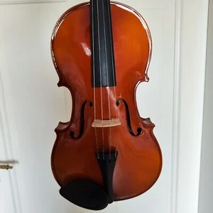 viola viola sonora - Imagen 1 de 12