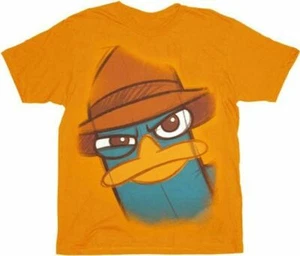 Perry Image Orange Youth Boys for Halloween T-shirt Tee (Youth Boys Size 18) - Picture 1 of 1