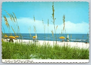 Postcard Florida Northwest Gulf Coast Sea Oats and Beach Coastline 22E - Picture 1 of 2